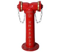 簡易式消防水泵接合器